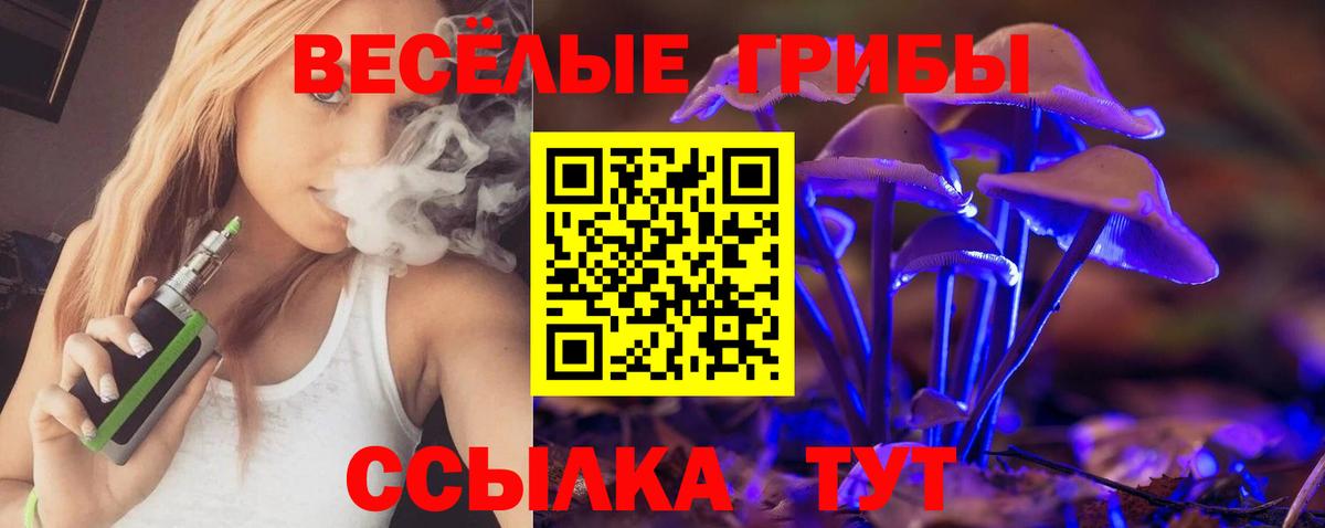 Псилоцибиновые грибы Magic Shrooms Щёлково